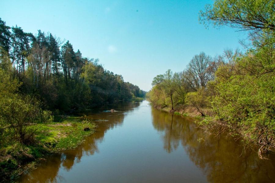 Отель База отдыха Энергия Rudnya Peskovskaya Экстерьер фото